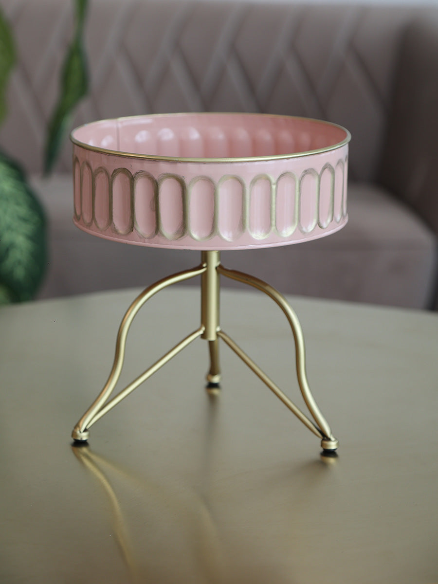 Pastel Paragon