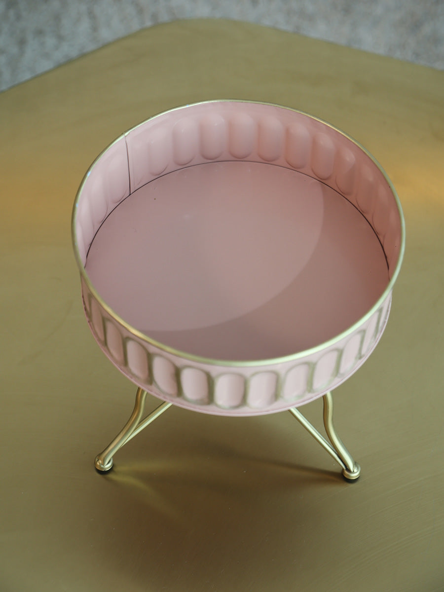 Pastel Paragon