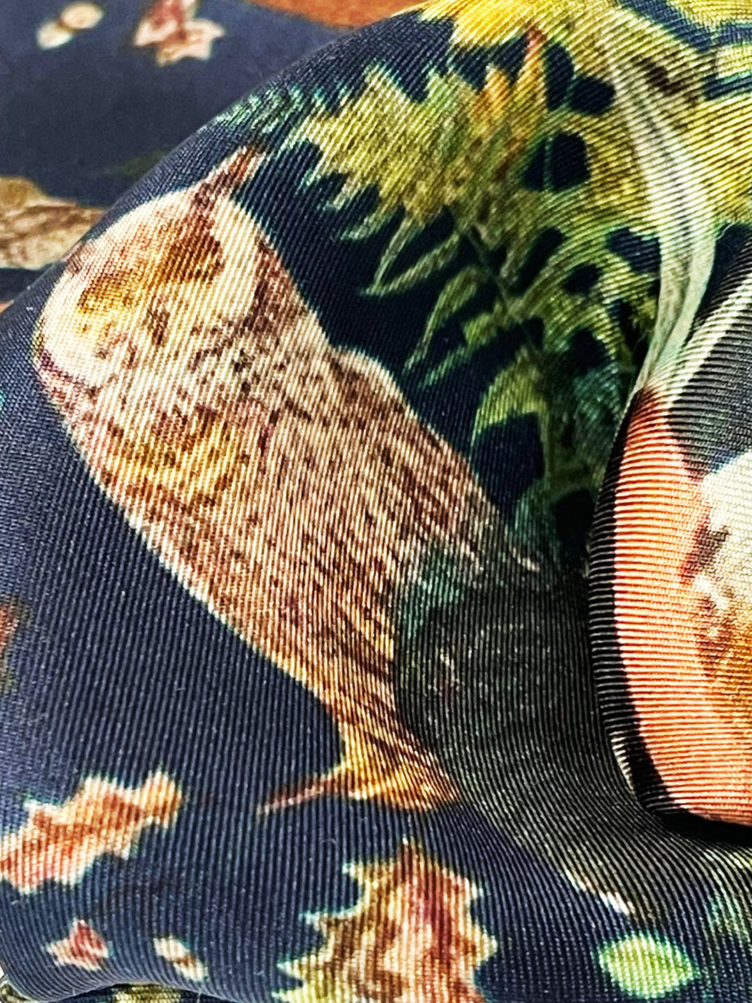 Owl Wonder