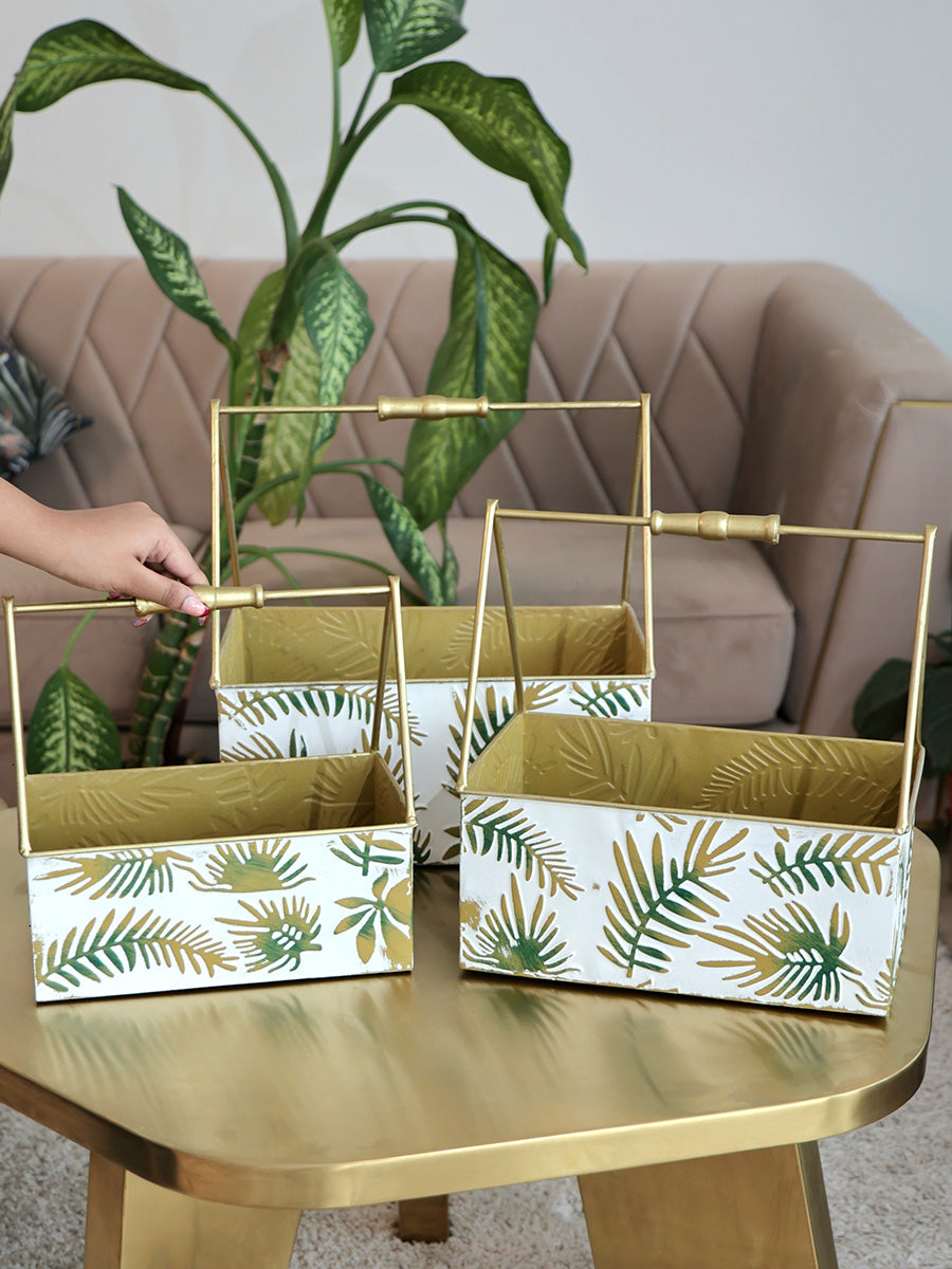 Aloha (Set of 3)