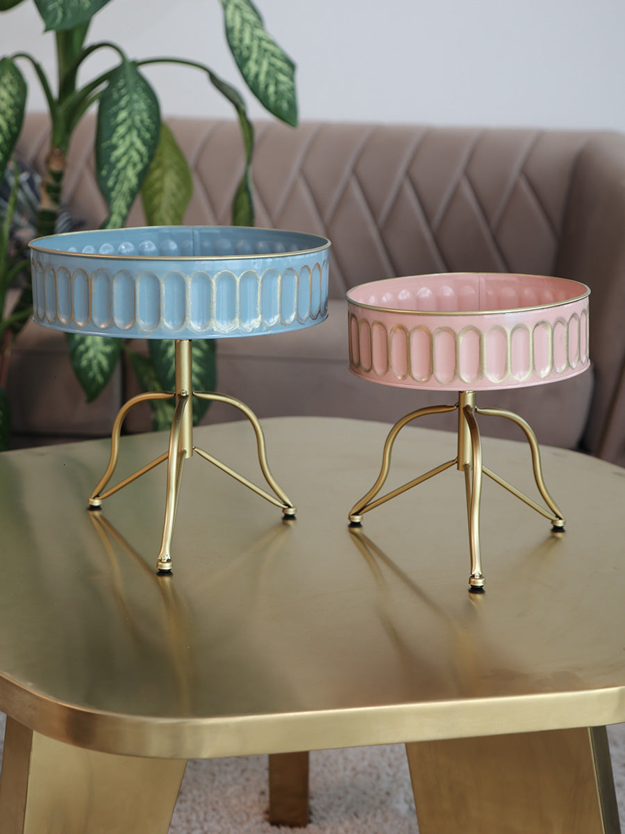Pastel Paragon